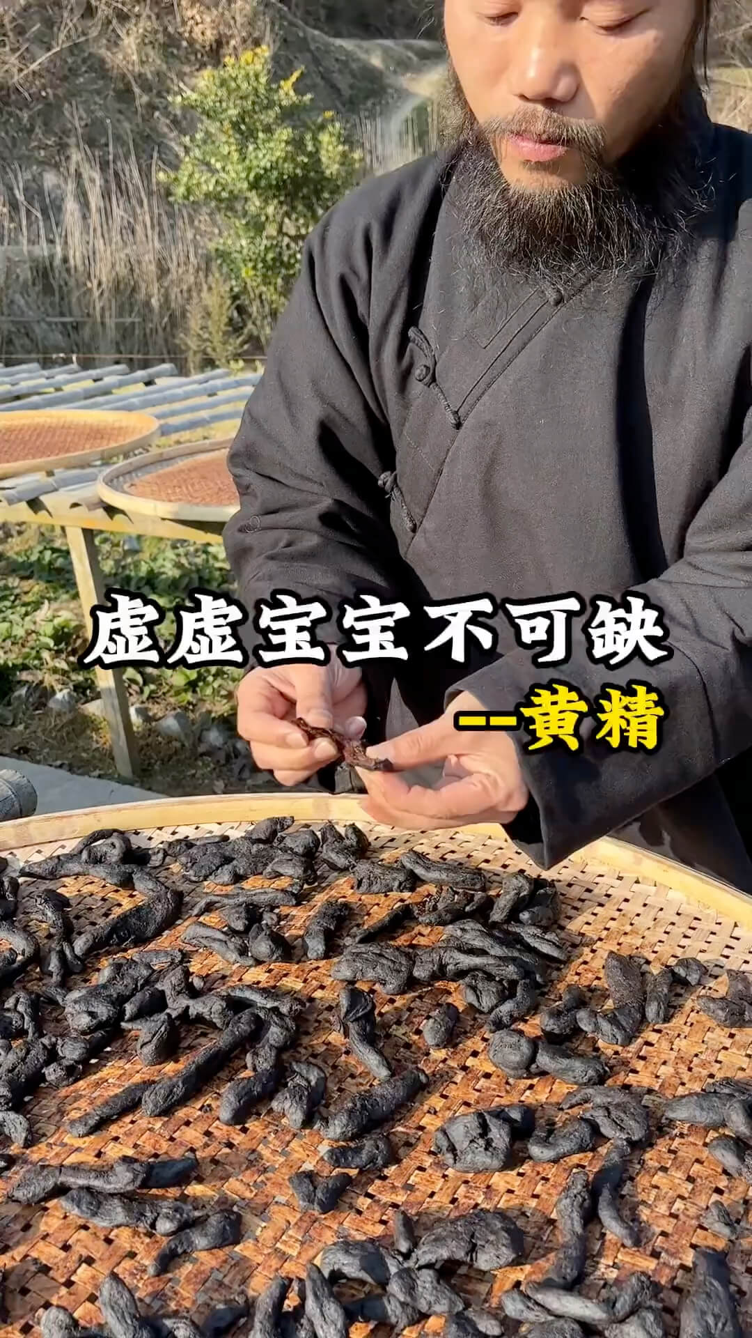 黄精