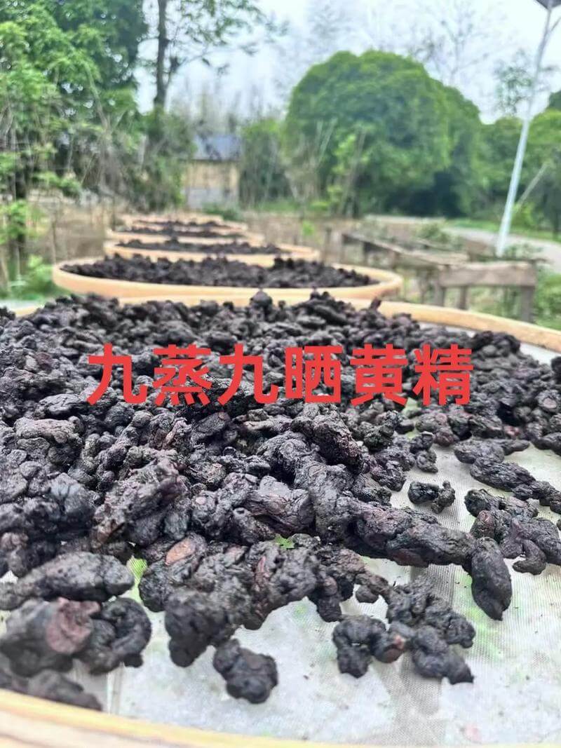 黄精如何调节血糖、保护心血管？