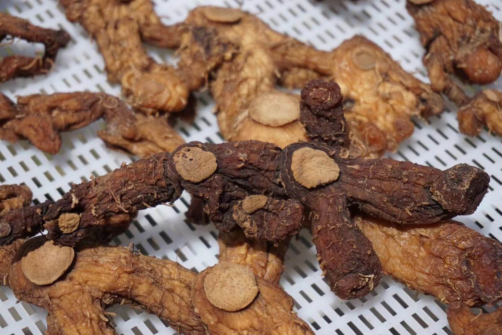 黄精对心血管系统的保护作用