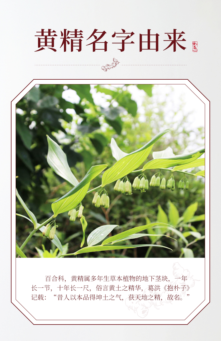 黄精的功效