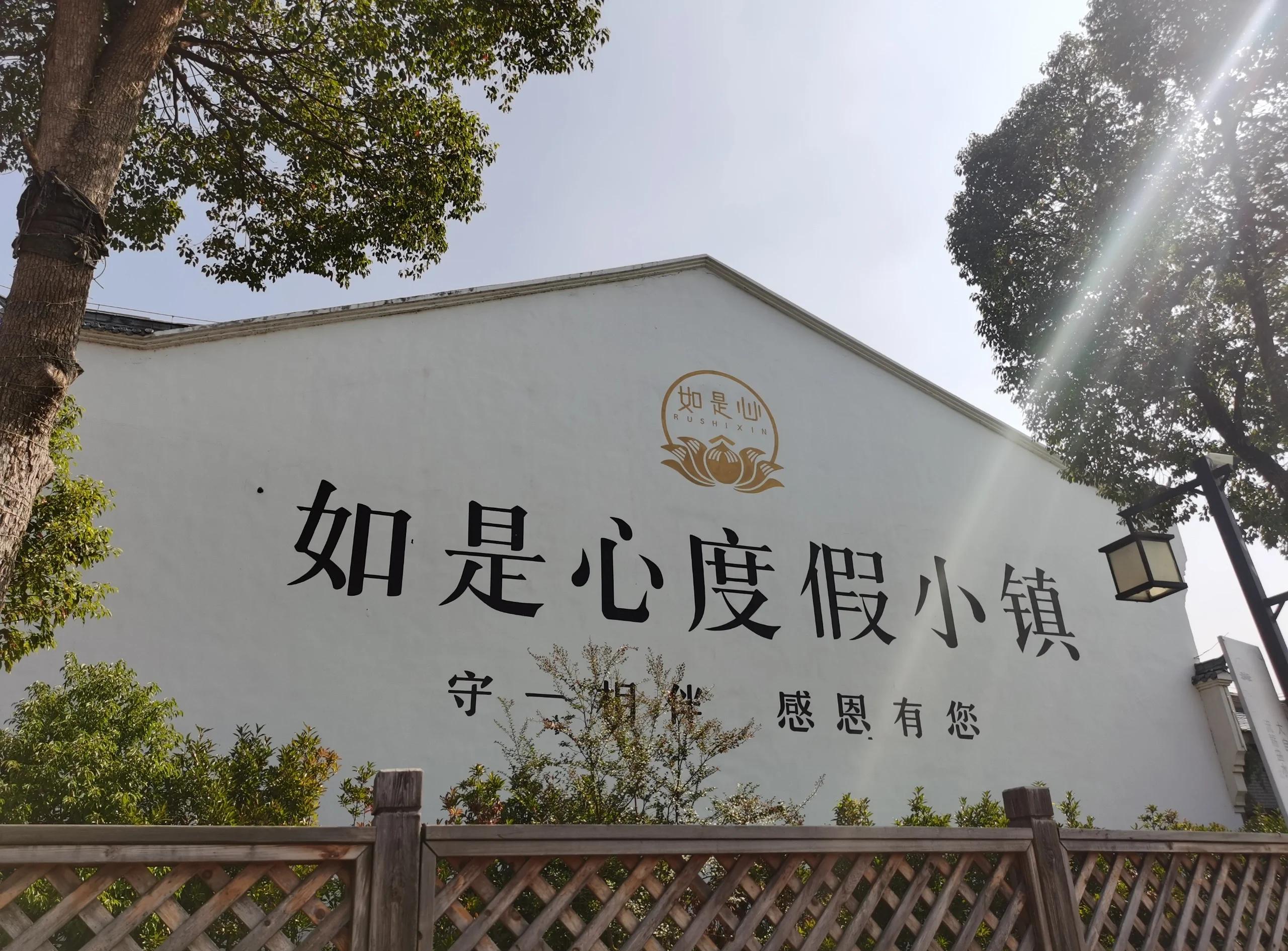 黄精药材的功效