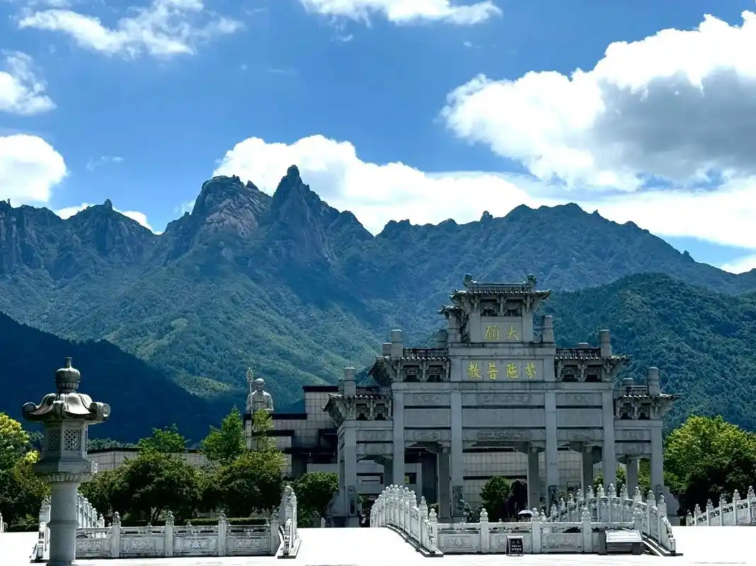 九蒸九晒九华山黄精