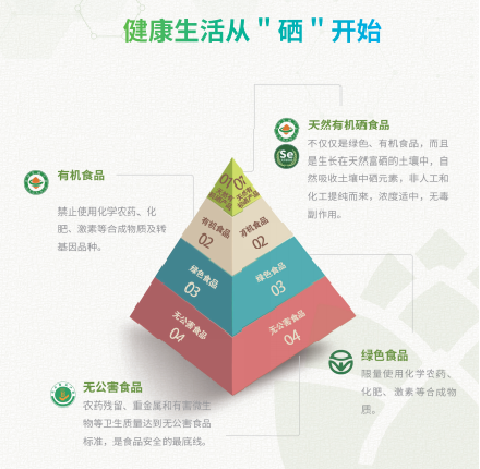 真假黄精