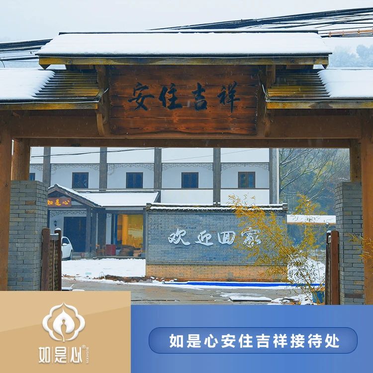 如是心黄精丸