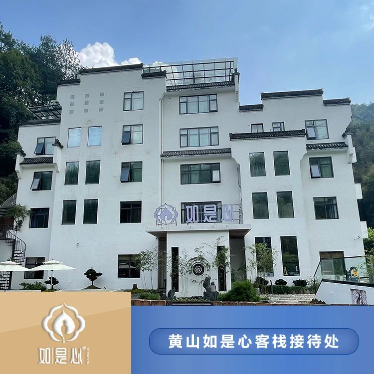黄精的药材价值