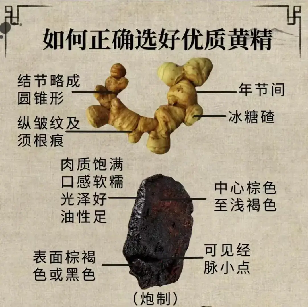 如何正确使用黄精