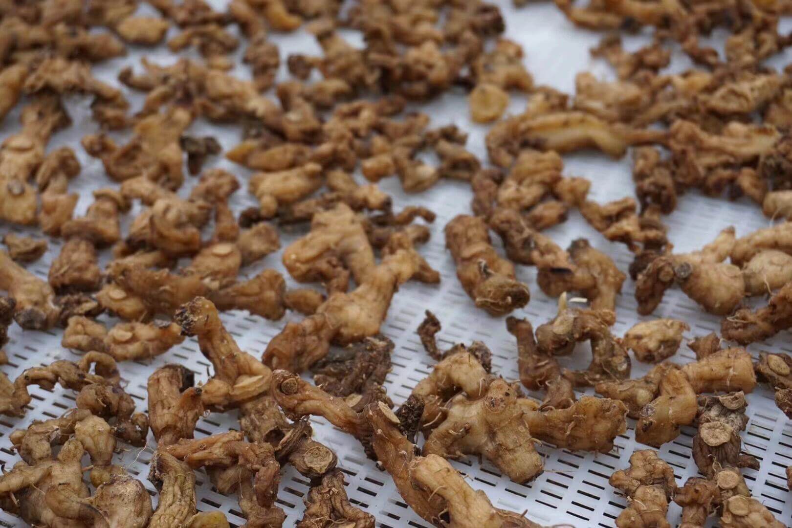 黄精润肺健脾