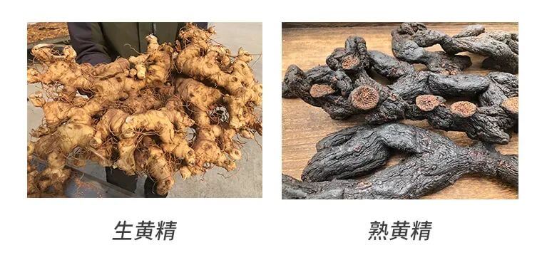 黄精炮制品有生、熟之分：