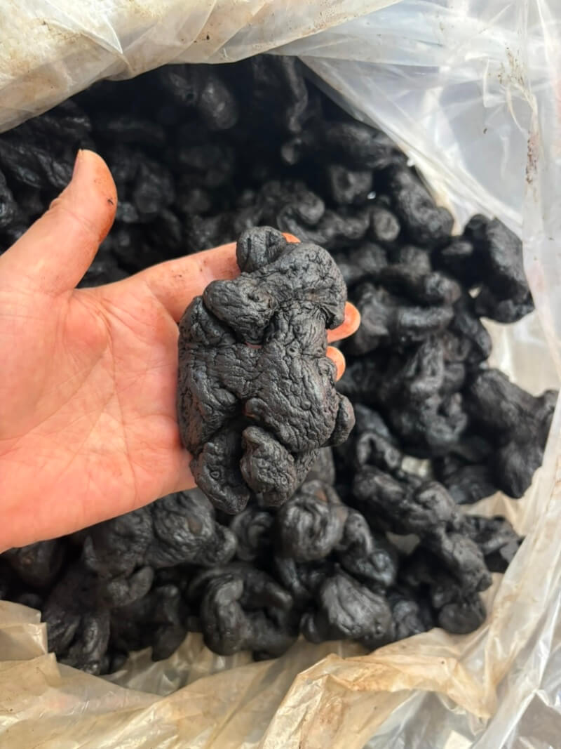 专家推荐：3款专为脾胃虚寒者设计的黄精食疗方