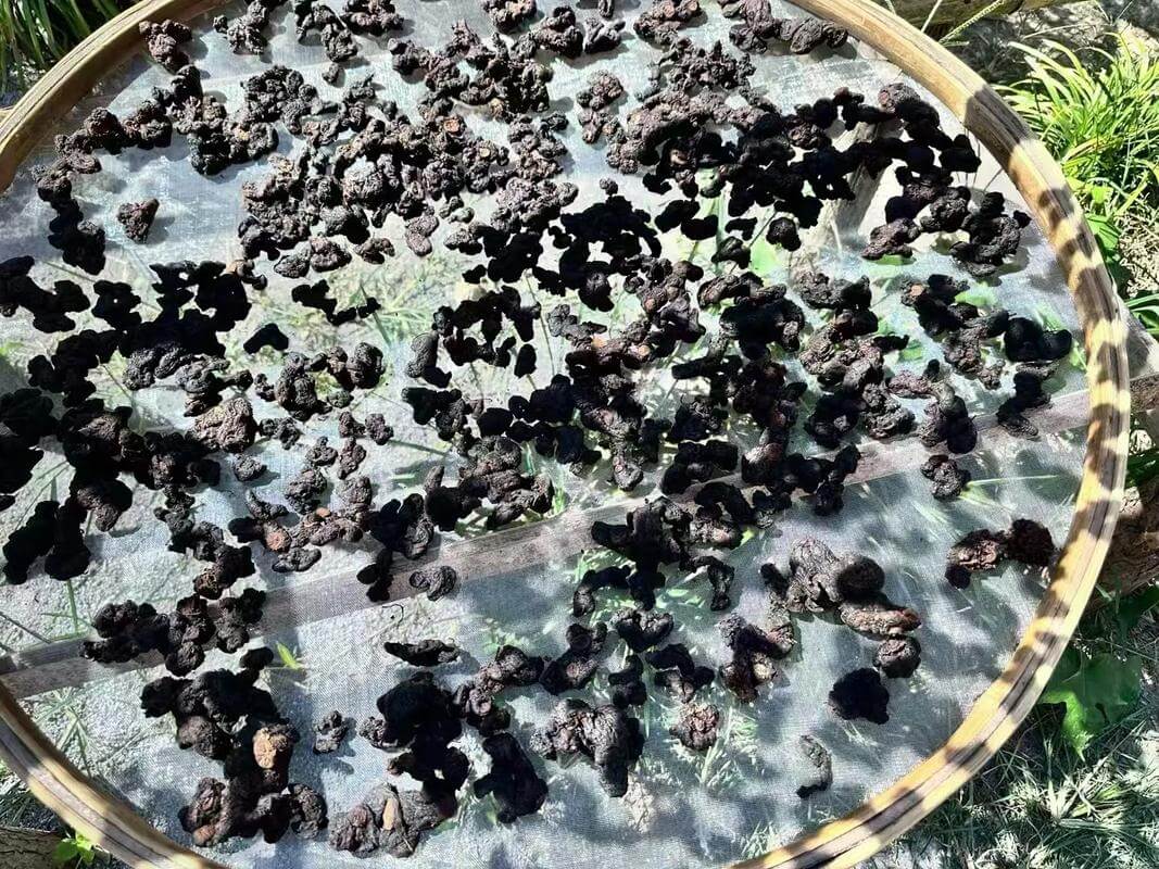 九蒸九晒黄精食用方法