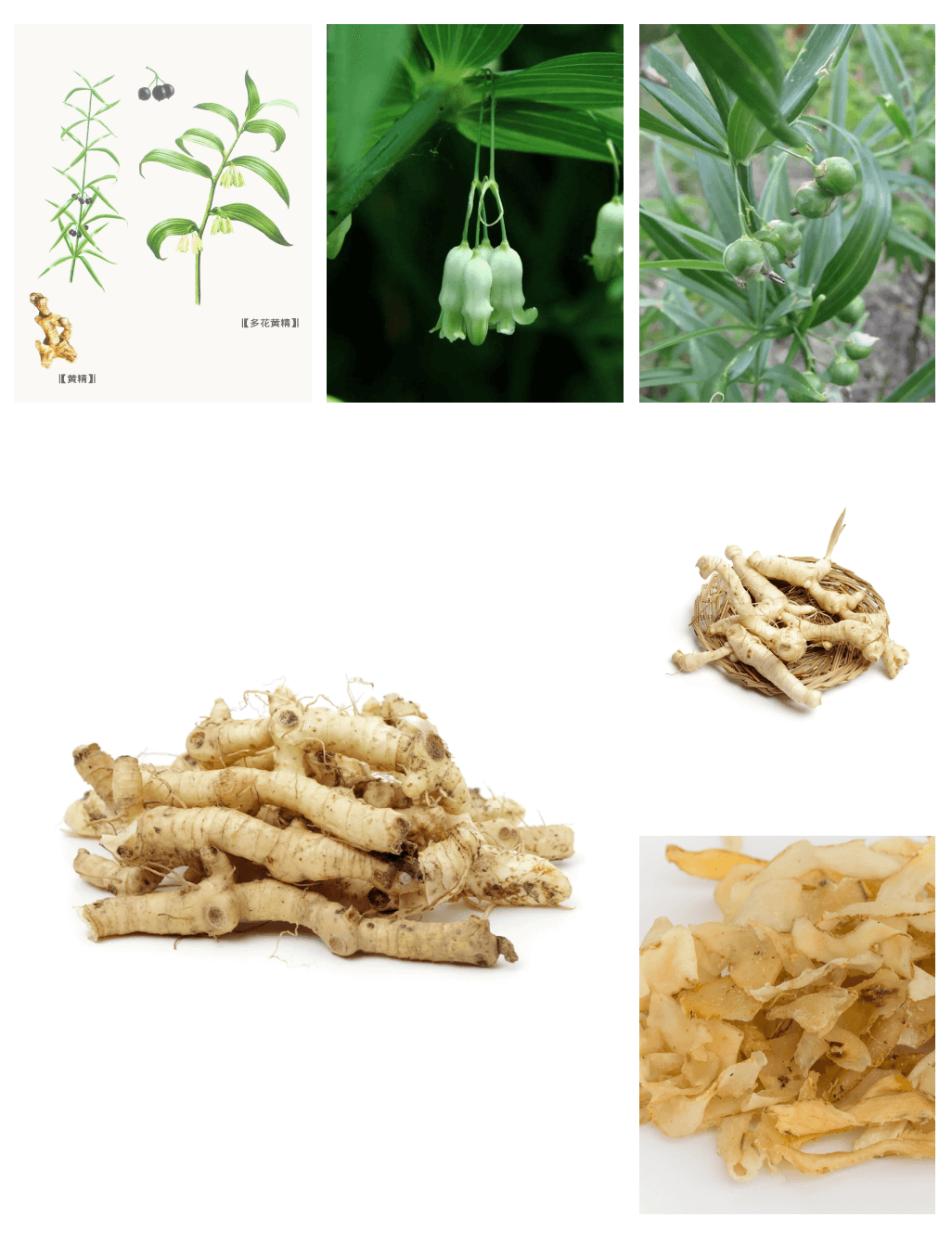 九蒸九晒黄精的食用方法