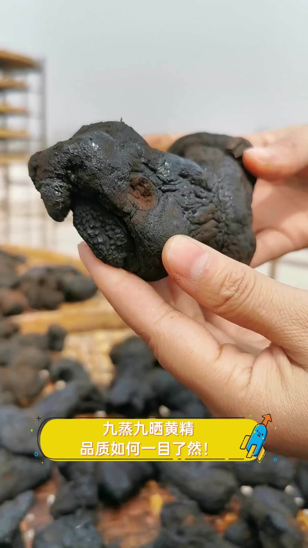 九蒸九晒黄精食用方法